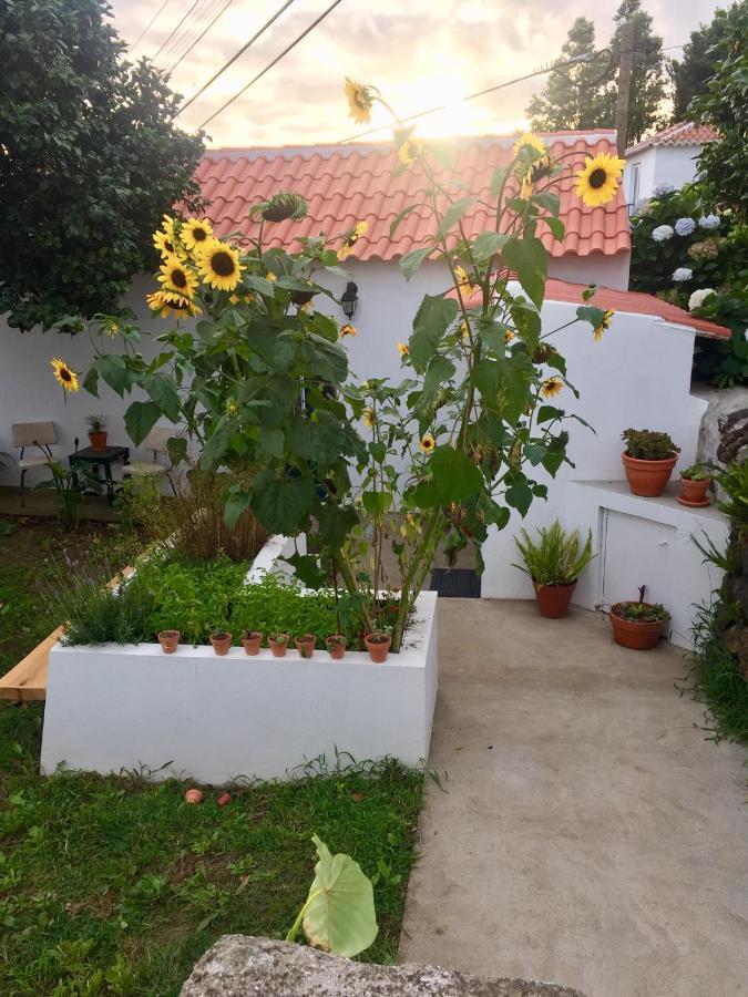 The Azores Homestead - Terceira Santa Barbara  Buitenkant foto