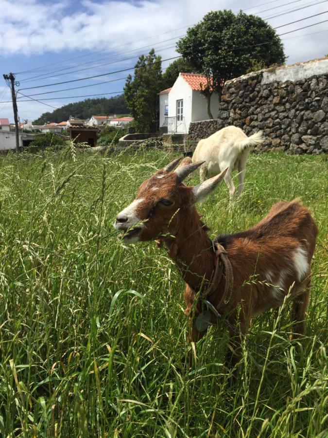 The Azores Homestead - Terceira Santa Barbara  Buitenkant foto